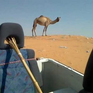 Meet your Posher, Khari